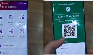 Lịch Tiêm Chủng Cho Trẻ Em Từ 0-12 Tháng Tuổi Online