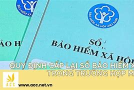 Mất Bìa Sổ Bảo Hiểm Có Làm Lại Được Không